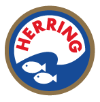 HERRING Toruń